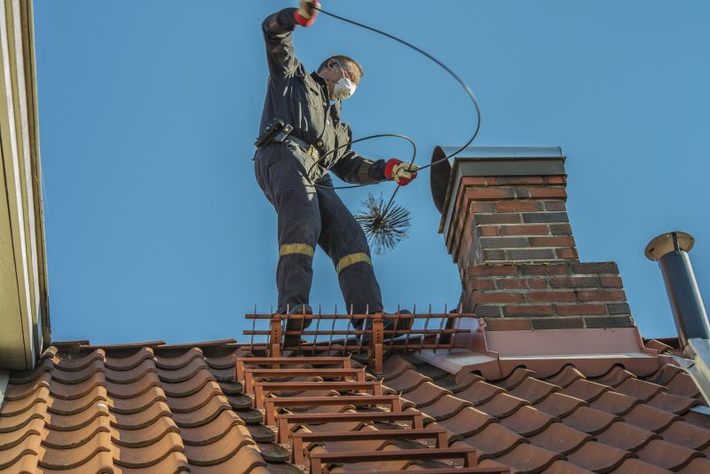 Chimney Sweep Professionals